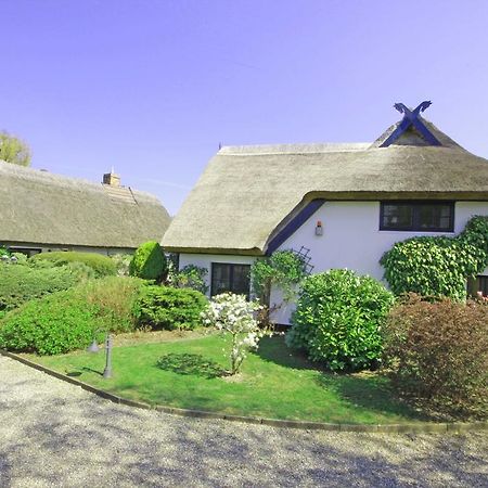Landhaus Darss Wieck auf dem Darss Dış mekan fotoğraf