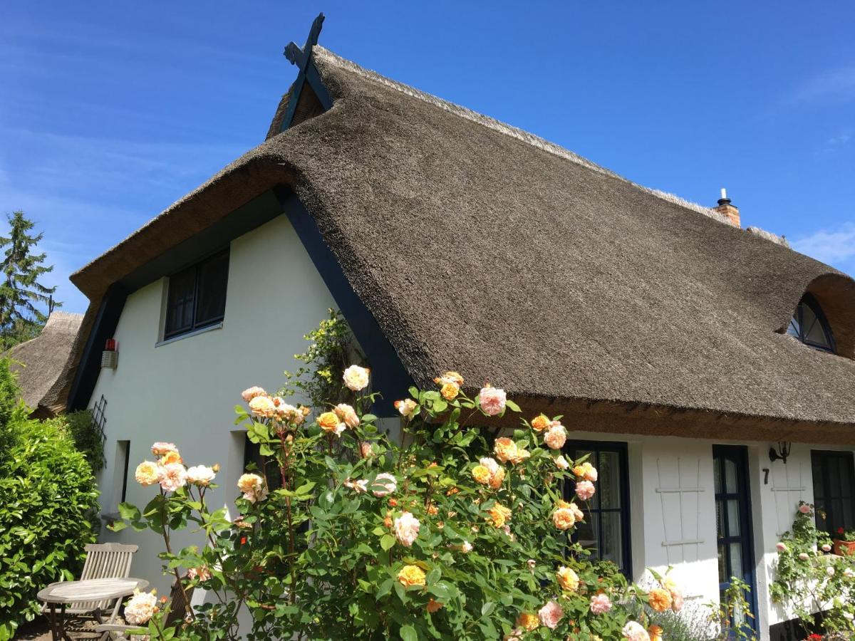 Landhaus Darss Wieck auf dem Darss Dış mekan fotoğraf