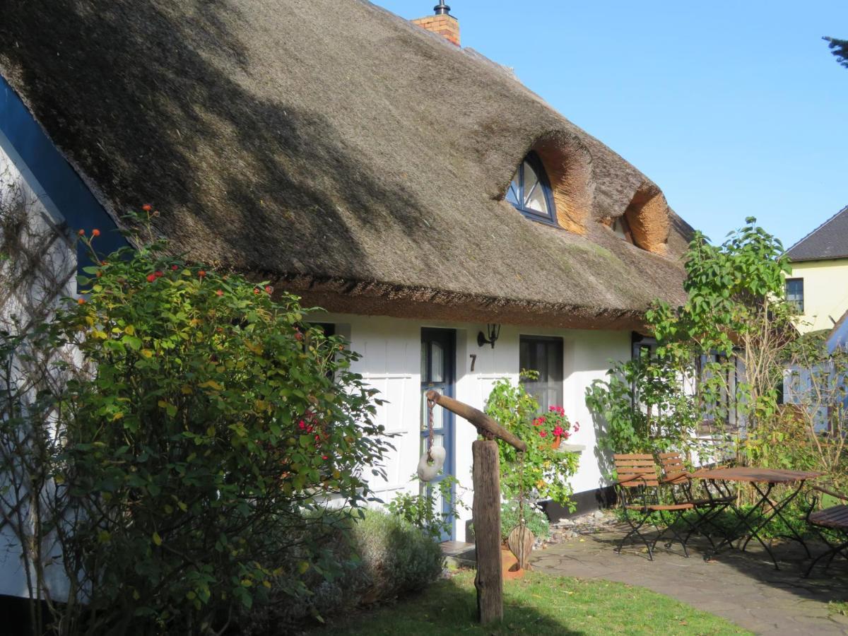 Landhaus Darss Wieck auf dem Darss Dış mekan fotoğraf