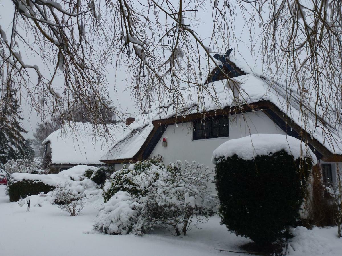 Landhaus Darss Wieck auf dem Darss Dış mekan fotoğraf